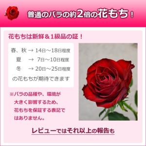 赤バラ 1本 BOX 結婚記念日 プレゼント ...の詳細画像5