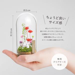 母の日 ギフト プレゼント ペット 花 プリザ...の詳細画像3