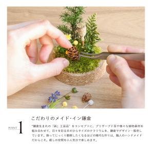 母の日 ギフト プレゼント ペット 花 プリザ...の詳細画像5