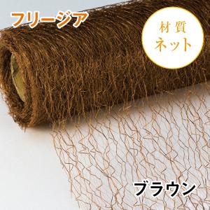 フリージアの詳細画像4