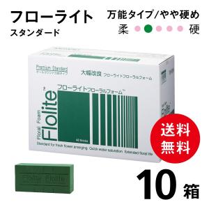 フローライトフォーム スタンダード【10箱】フローラルフォーム/激安/生花用ブリック/給水フォーム/スポンジ/花資材 48ブリック W230×D110×H80mm