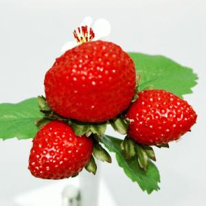 お取り寄せ商品 いちごピック [食品サンプル ...の詳細画像2