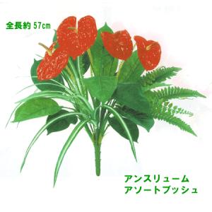 アンスリューム フラワーアレンジメント の商品一覧 花 ガーデニング 通販 Yahoo ショッピング