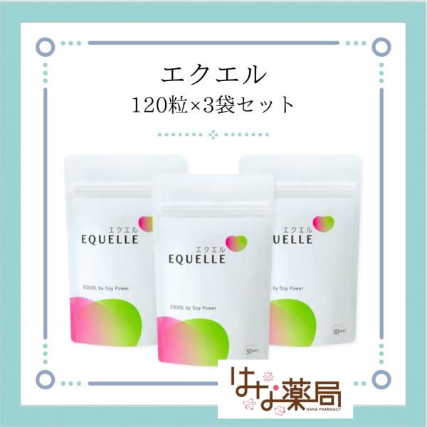 エクエル パウチタイプ（120粒）（3袋セット）【健康食品・サプリメント】 植物由来