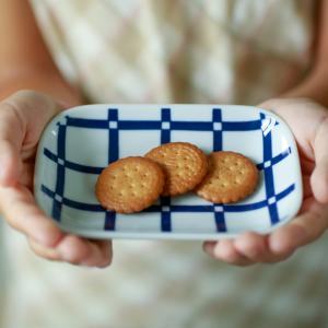 食器 皿 エボトラ ラティック 長角 小皿 12.5cm×9cm 波佐見焼 // 角皿 小皿 副菜皿 漬物皿 おしゃれ