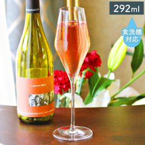 SCHOTT ZWIESEL ショット ツヴィーゼル バースペシャル シャンパン