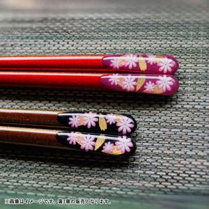 サンライフ ＼在庫限り／箸 お箸 おはし こだわりの箸 豆腐がつかみ