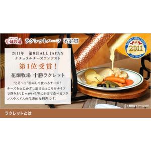 ★送料無料★花畑牧場 ラクレット チーズ ハー...の詳細画像1