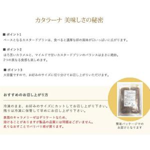 ※注文殺到により順次出荷※★送料無料★花畑牧場...の詳細画像4