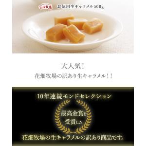 ※注文殺到により順次出荷※★送料無料★花畑牧場...の詳細画像5
