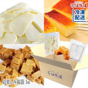 花畑牧場　お楽しみ福袋 1st（メダルモッツァレラ、自家製カタラーナ、お徳用生キャラメル他）【冷凍配送】
