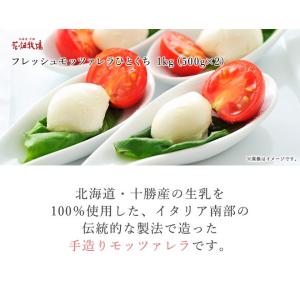 ★送料無料★花畑牧場 フレッシュモッツァレラひ...の詳細画像1