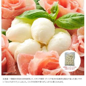 ★送料無料★花畑牧場 フレッシュモッツァレラひ...の詳細画像2