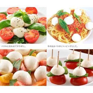★送料無料★花畑牧場 フレッシュモッツァレラひ...の詳細画像3