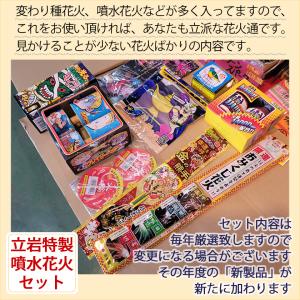 花火セット 仕掛け花火たち!変わり種花火セットの詳細画像1