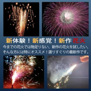 花火セット 2025-26年度 最新作花火セッ...の詳細画像5