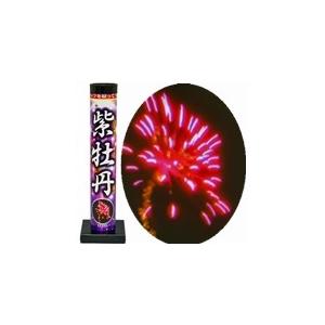 「線」でなく「点」で表現　高貴な気品　紫牡丹【打上げ花火】