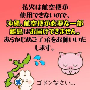 牡丹紅炮20連II(10束入り) 爆竹 熊 カ...の詳細画像4