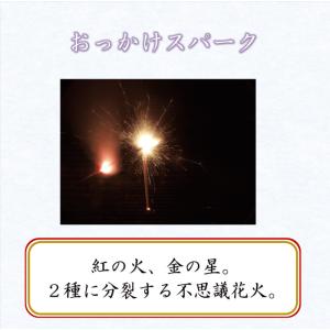 送料無料 純国産 夢花火 〜雅〜 国産花火 手...の詳細画像1