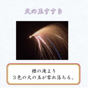 送料無料 純国産 夢花火 〜雅〜 国産花火 手...の詳細画像2