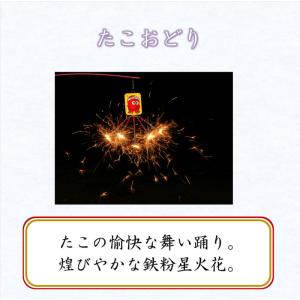 送料無料 純国産 夢花火 〜雅〜 国産花火 手...の詳細画像3