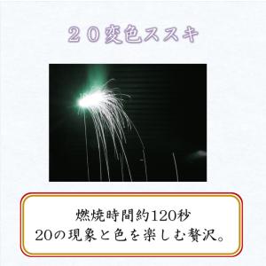 送料無料 純国産 夢花火 〜雅〜 国産花火 手...の詳細画像5