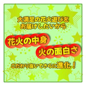 送料無料 200本 ★1本30秒〜50秒★ 長...の詳細画像2
