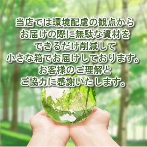 花火屋が本気で選んだ噴出花火(4本入) 噴出 ...の詳細画像5