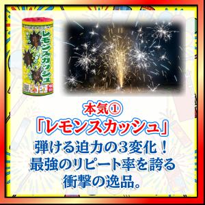 花火屋が本気で選んだ噴出花火(4本入) 噴出 ...の詳細画像1