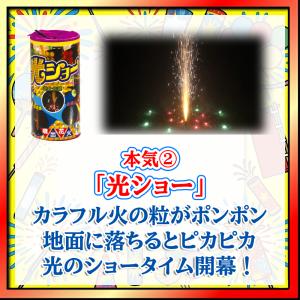 花火屋が本気で選んだ噴出花火(4本入) 噴出 ...の詳細画像2