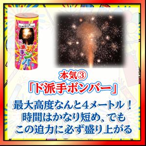 花火屋が本気で選んだ噴出花火(4本入) 噴出 ...の詳細画像3
