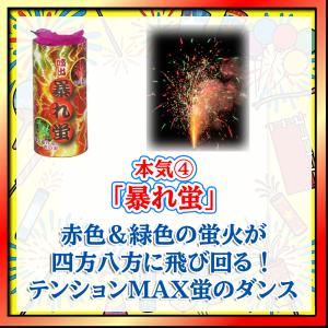 花火屋が本気で選んだ噴出花火(4本入) 噴出 ...の詳細画像4