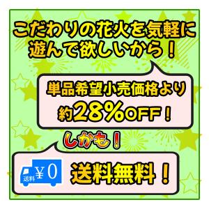 送料無料 ガチで長い無限花火100本 詰め合わ...の詳細画像4