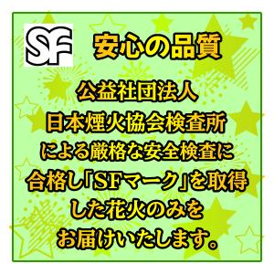 送料無料 ガチで長い無限花火100本 詰め合わ...の詳細画像5