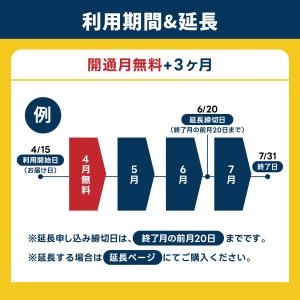 docomo プリペイド SIMカード 1GB...の詳細画像3