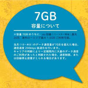 【延長専用】楽天モバイル プリペイド SIMカ...の詳細画像2