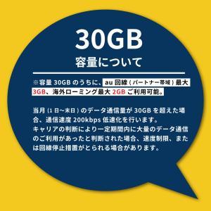 楽天モバイル プリペイド SIMカード 30G...の詳細画像1