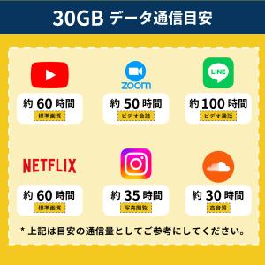 楽天モバイル プリペイド SIMカード 30G...の詳細画像5