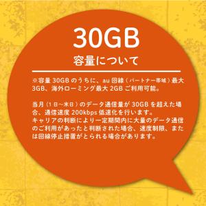 【延長専用】楽天モバイル プリペイド SIMカ...の詳細画像2