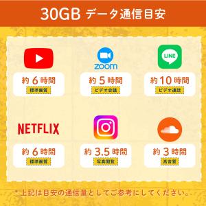 【延長専用】楽天モバイル プリペイド SIMカ...の詳細画像5