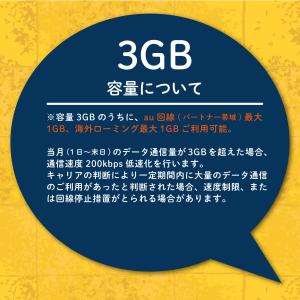 【延長専用】楽天モバイル プリペイド SIM ...の詳細画像2