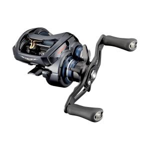 DAIWA（ダイワ） 23 スティーズ A II TW 1000XHL 左ハンドル / ベイト 