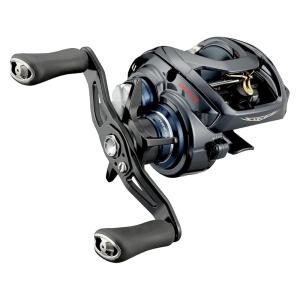 DAIWA（ダイワ） スティーズA TW HLC 8.1R (右) 2021追加モデル : 釣具