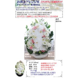 お供え アレンジMデラックスサイズコチョウラン...の詳細画像2