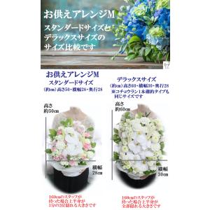 お供え アレンジMデラックスサイズコチョウラン...の詳細画像5
