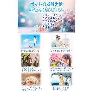 ペット お供え アレンジ お供え お悔やみ 花...の詳細画像1