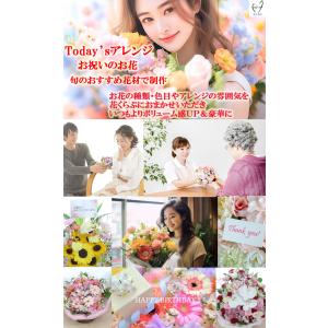 TodaysアレンジM スタンダードサイズ お...の詳細画像1