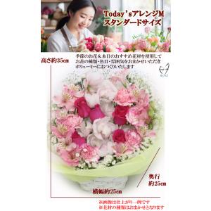 TodaysアレンジM スタンダードサイズ お...の詳細画像2