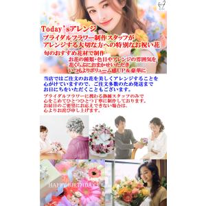 TodaysアレンジM スタンダードサイズ お...の詳細画像1