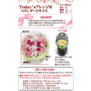 TodaysアレンジM スタンダードサイズ お...の詳細画像3